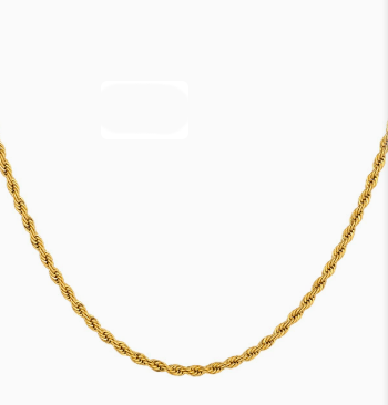 Elegant 18K Gold Twist Steel Necklace